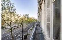 L1981_fbalcon