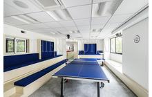 12561-ip41pingpong