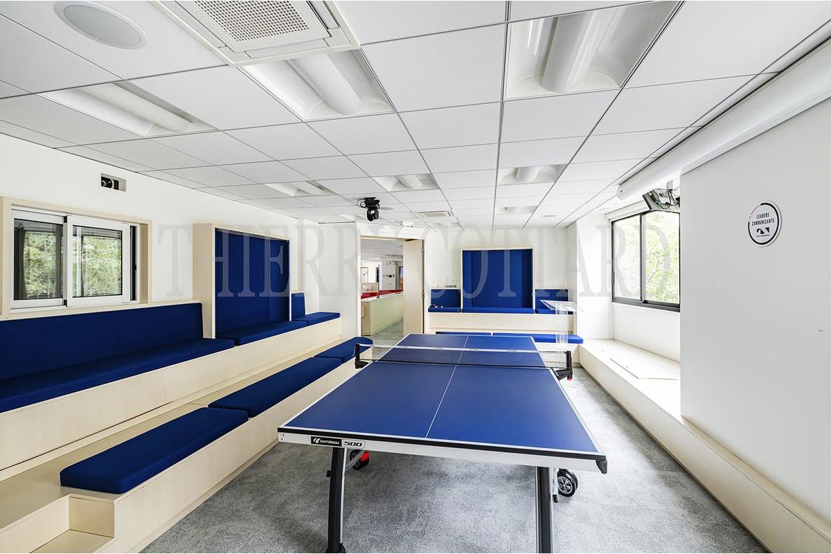 12561-ip41pingpong